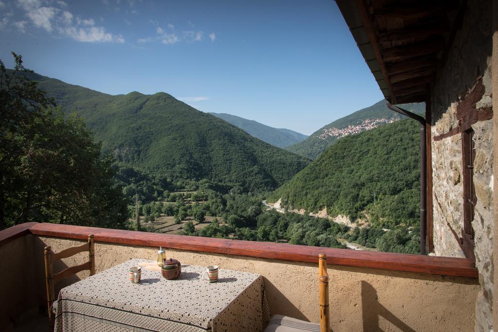 Radika View House Apartment Galicnik ภายนอก รูปภาพ